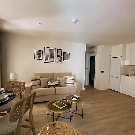 Premium - Calle San Telmo Apartamento