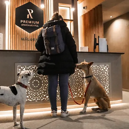 Premium - Calle San Telmo Lägenhet *